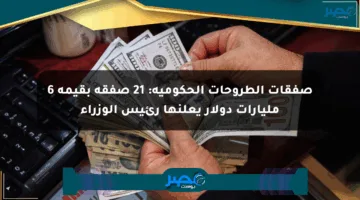 صفقات الطروحات الحكومية: 21 صفقة بقيمة 6 مليارات دولار يعلنها رئيس الوزراء